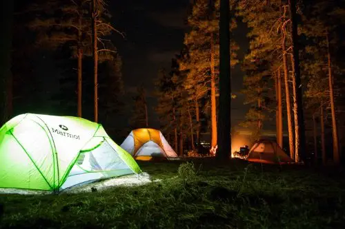 Group of tent at night in the forest woords trees